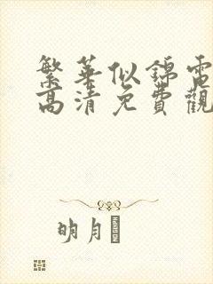 繁华似锦电视剧高清免费观看全集