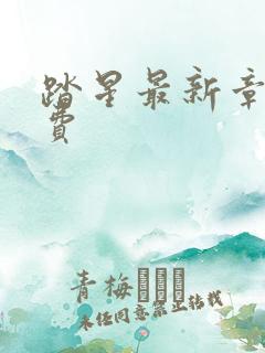 踏星最新章节免费