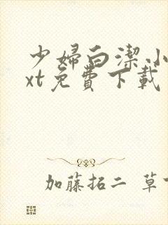 少妇白洁小说txt免费下载