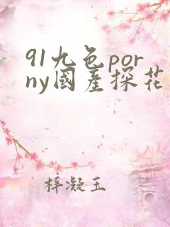 91九色porny国产探花