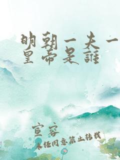 明朝一夫一妻的皇帝是谁