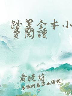 踏星全本小说免费阅读