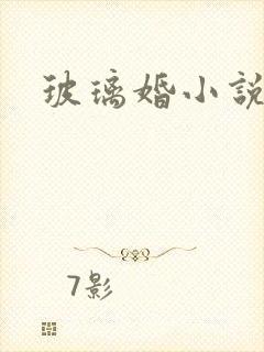 玻璃婚小说