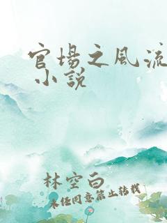 官场之风流人生 小说