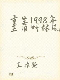重生1998年主角叫林风的小说