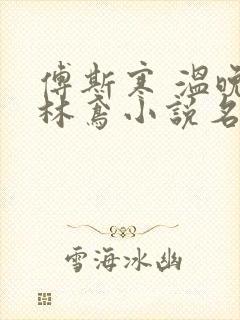 傅斯寒 温晚 林鸢小说名字