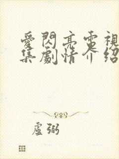 爱闪亮电视剧分集剧情介绍
