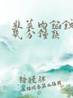 韭菜肉馅饺子蒸几分钟熟