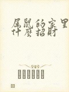 属鼠的家里摆放什么招财 属鼠的家里摆放什么招财