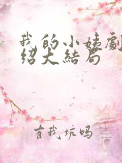 我的小姨剧情介绍大结局