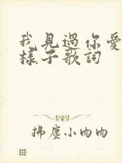 我见过你爱我的样子歌词