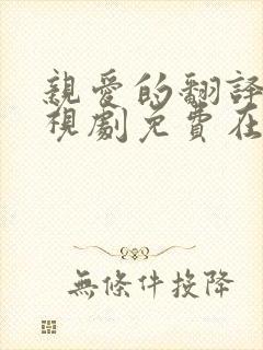 亲爱的翻译官电视剧免费在线观看
