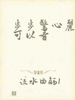 步步惊心丽哪里可以看