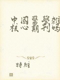 中国医学杂志是核心期刊吗