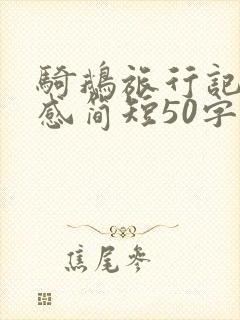 骑鹅旅行记读后感简短50字