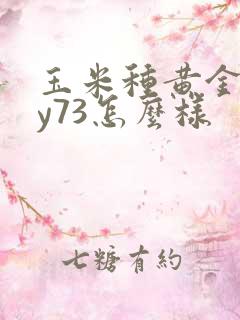 玉米种黄金粮my73怎么样