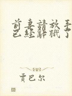 前妻请放手,我已经辞职了完整版