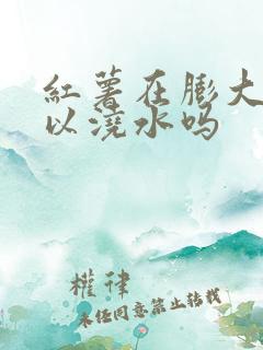 红薯在膨大期可以浇水吗