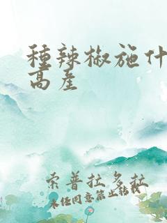 种辣椒施什么肥高产