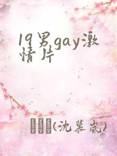 19男gay激情片