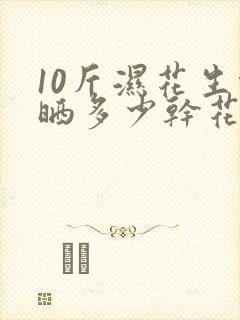 10斤湿花生能晒多少干花生