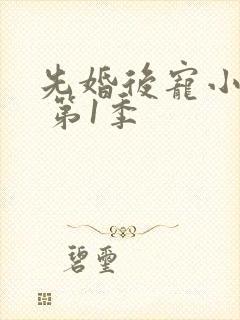 先婚后宠小娇妻 第1季