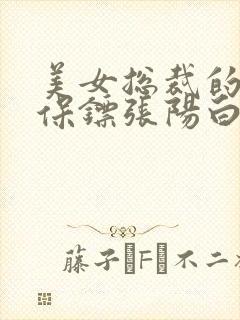 美女总裁的贴身保镖张阳白苑情