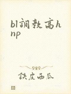bl调教高h np