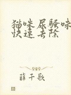 猫咪尿骚味怎么快速去除 猫咪尿骚味怎么快速去除