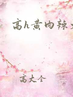 高h黄肉辣文