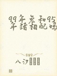 99年兔和95年猪相配吗