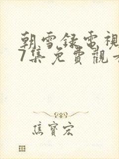 朝雪录电视剧17集免费观看
