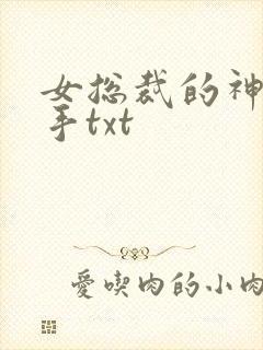 女总裁的神级高手txt 女总裁的神级高手txt