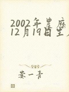 2002年农历12月19日生辰八字