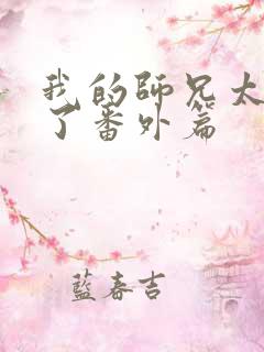 我的师兄太稳健了番外篇