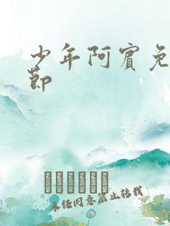 少年阿宾免费章节