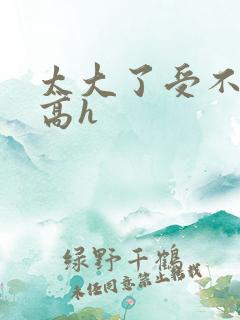 太大了受不了了高h
