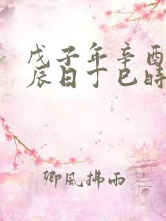 戊子年辛酉月戊辰日丁巳时女命八字详解