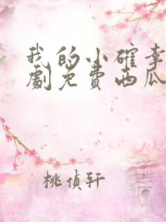 我的小确幸电视剧免费西瓜 我的小确幸电视剧免费西瓜