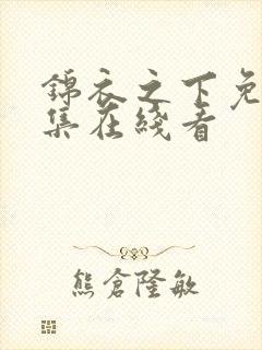 锦衣之下免费全集在线看