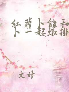 红萝卜能和白萝卜一起炖排骨汤吗