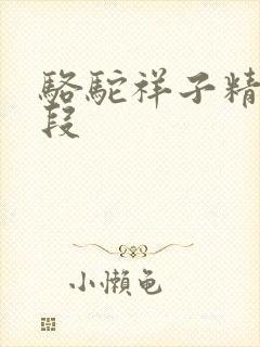 骆驼祥子精彩语段