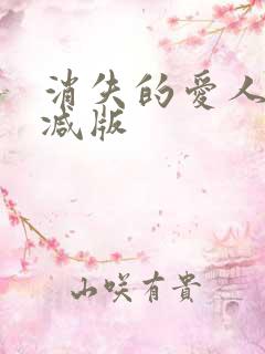 消失的爱人无删减版