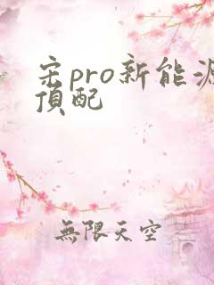 宋pro新能源顶配