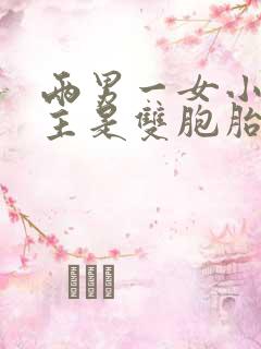 两男一女小说男主是双胞胎