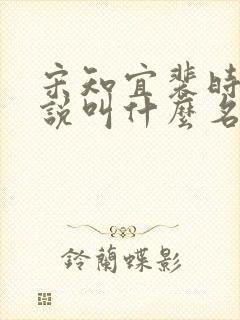 宋知宜裴时越小说叫什么名字