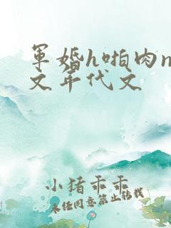 军婚h啪肉np文年代文