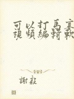 可以打马赛克的视频编辑软件 可以打马赛克的视频编辑软件