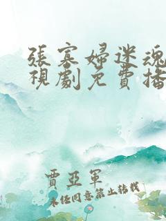 张寡妇迷魂汤电视剧免费播放