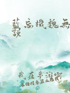 蓝忘机魏无羡小说